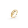 Ring Dune